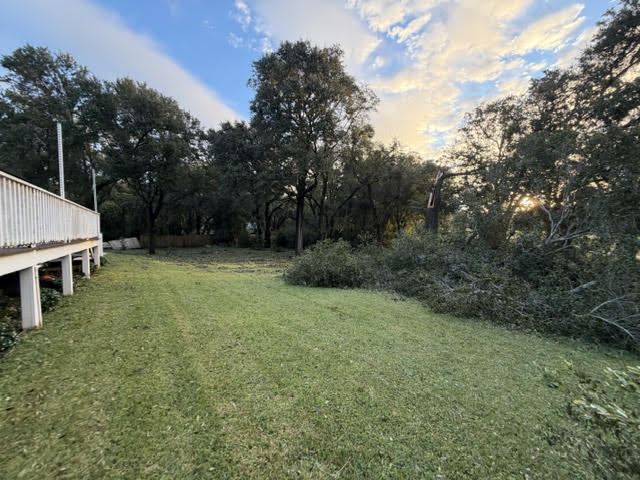 Brush and limbs piled for haul-off after cleanup