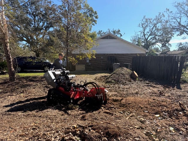 Stump ground out in a residential yard