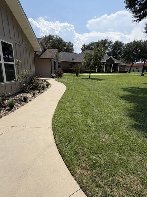 Freshly striped lawn along a front walk