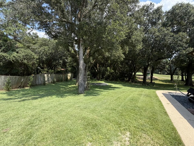 Finished backyard under oak trees